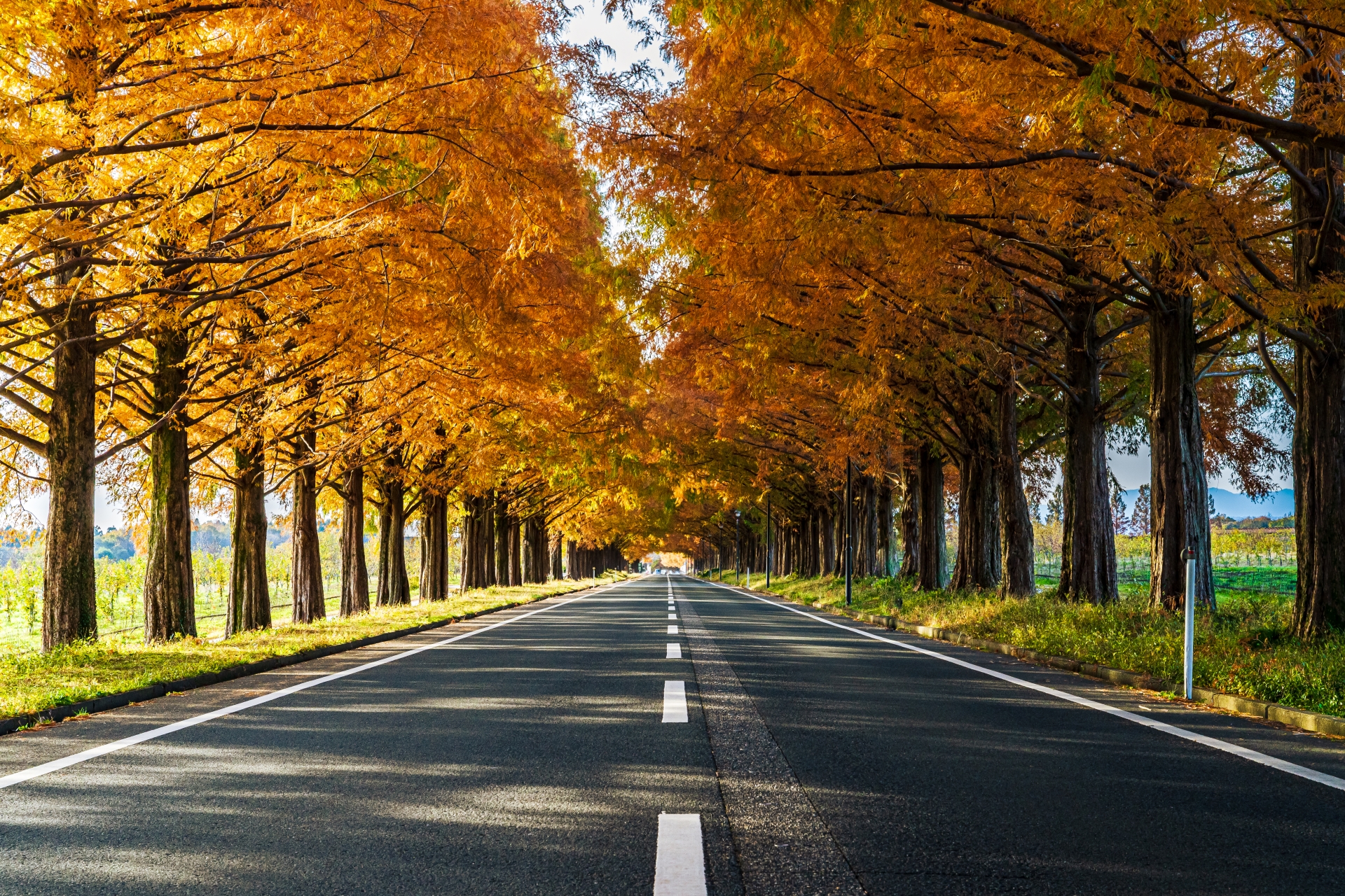 大津市・高島市など湖西エリアの不動産売買、売家、売地、賃貸情報なら査定額に自信の滋賀県大津市の不動産会社「ハウスアップ」にお任せください。